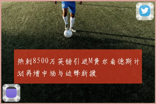 热刺8500万英镑引进M费尔南德斯计划再增中场与边锋新援