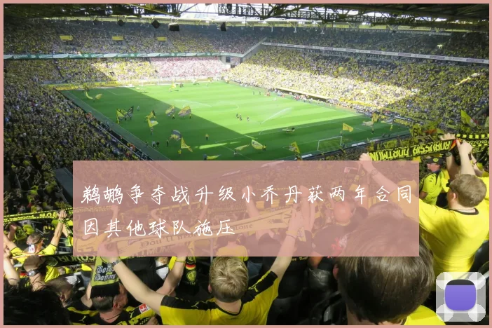 鹈鹕争夺战升级小乔丹获两年合同因其他球队施压