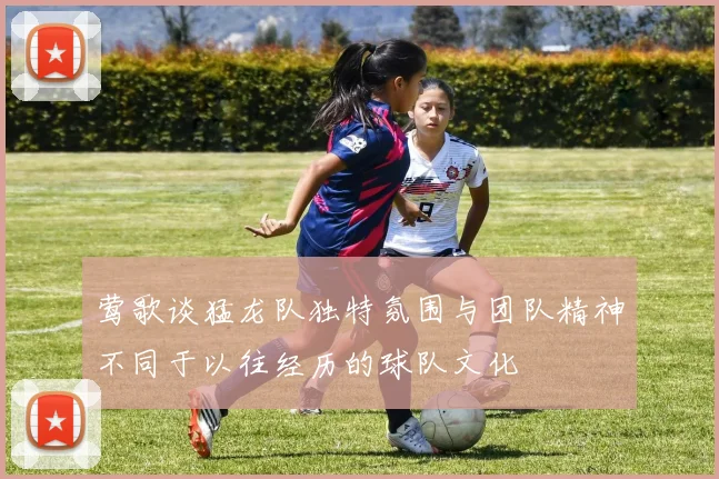 莺歌谈猛龙队独特氛围与团队精神不同于以往经历的球队文化